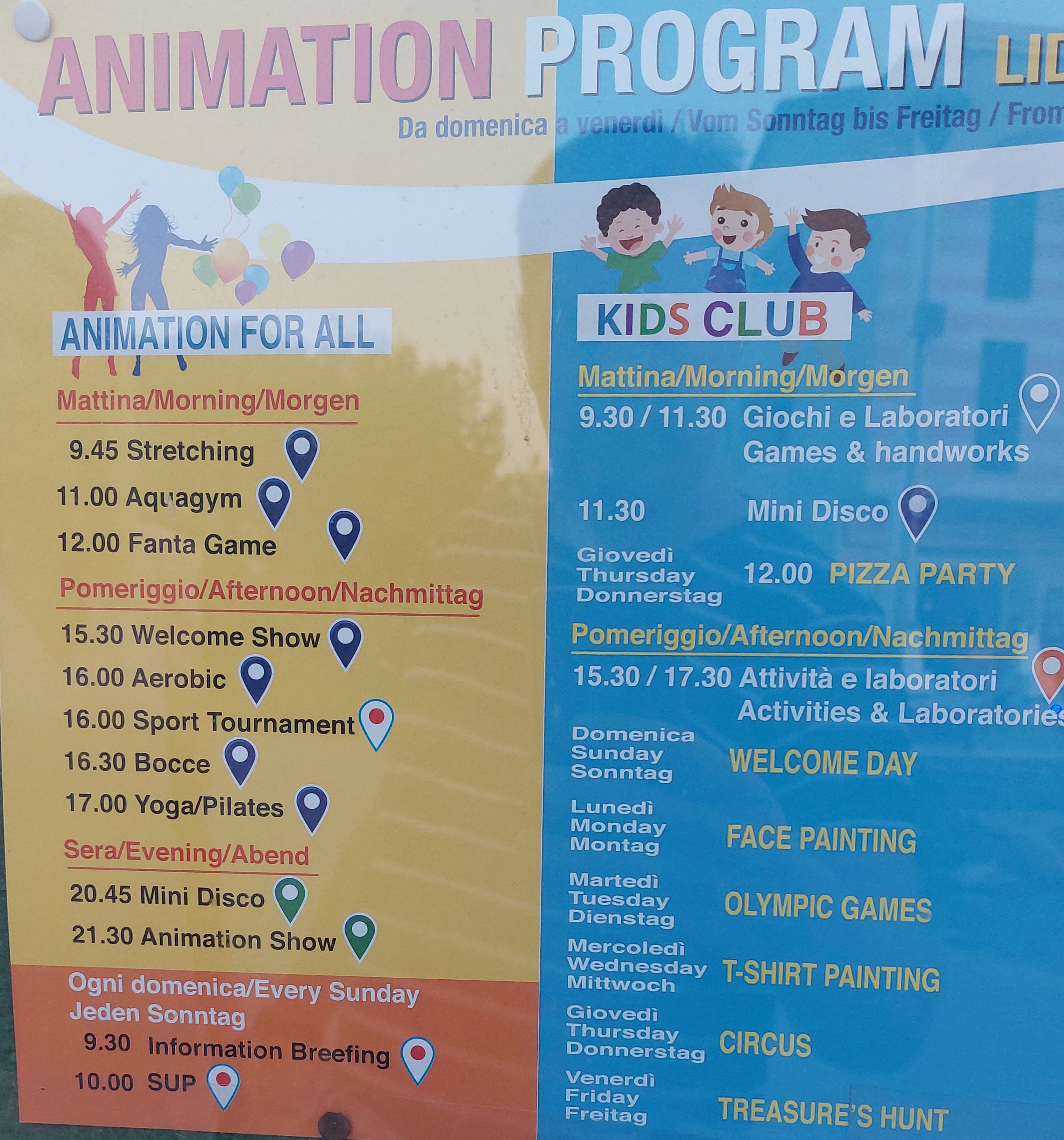 Animace